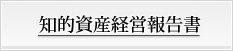 知的資産経営報告書